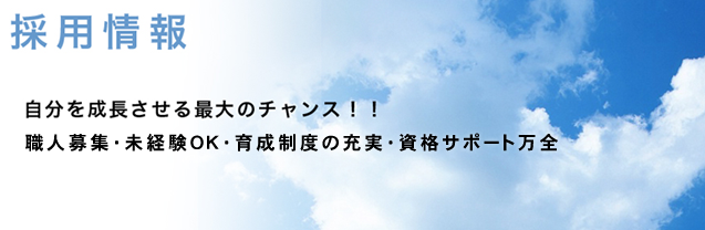 採用情報